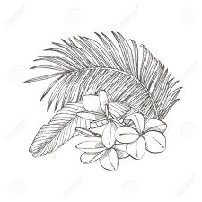 Leaves are a part of trees in minecraft. Tropical Palm Leaves Vector Illustration Engraved Jungle Leaves Royalty Free Cliparts Vectors And Stock Illustration Image 99488439