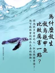 pin by 心靈清淨on 佛言慧語in 2021 chinese quotes quotes screenshots