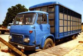 Image result for Bleu Saviem 1971 Fleet