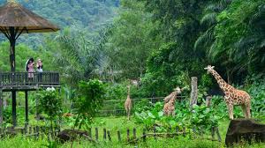 Check spelling or type a new query. Orang Terkaya India Siap Bangun Kebun Binatang Dengan 100 Spesies Hewan Bakal Masukkan Komodo Juga Lifestyle Liputan6 Com