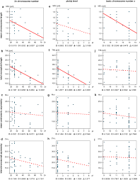 Image result for Sarcophrynium schweinfurthianum
