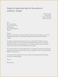 I'd love the opportunity to meet you in person for an interview. The Standard Cv Format Application Letters Job Cover Letter Job Application Letter Sample