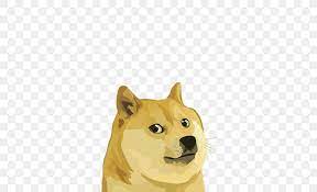 Shiba inu is the latest viral cryptocurrency to attract investor attention. Dogecoin Shiba Inu Cryptocurrency Altcoins Png 800x500px Dogecoin Altcoins Bitcoin Carnivoran Coin Download Free