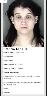 Daily bookings for 08/15/2025.