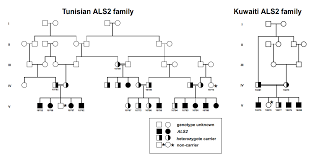 als pedigree related keywords suggestions als pedigree