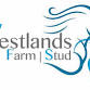 Zac Heydon Gymnastic Grids event image
