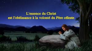 Résultat de recherche d'images pour "Lumière de dieu dans la volonté"
