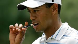 Chewing wood provides sliver of hope against memory loss