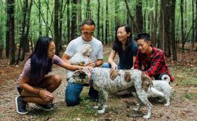 Triangle Community Foundation | Maximizing Impactful Giving