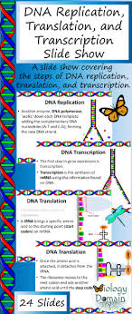 Genetics Dna Replication Translation And Transcription Powerpoint Slide Show Dna Replication Dna Transcription Transcription And Translation