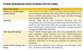 Hubungan Seks Semasa Hamil Semasa Medical Mythbusters Malaysia Facebook
