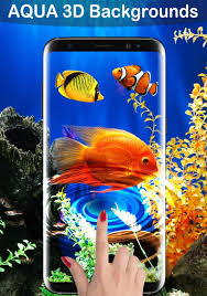 Looking for the best koi fish live wallpaper? Fish Live Wallpaper 2019 Koi Backgrounds For Android Apk Download