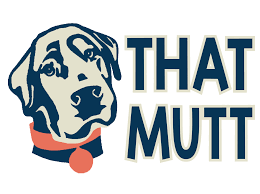 If you give your dog too much benadryl, you may see. Medication For Dogs During Fireworks And When To Use It Thatmutt Com