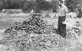 The operation masterminded by the ukrainian insurgent army took well over 130,000 to possibly 200, 000 polish lives. Wolyn Przemilczana Historia Przeglad