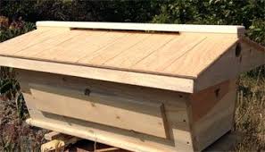 Carr and john bradford have a beautifully engineered plan for a top bar hive. Backyardhive Com Backyardhive Beekeeping Shop Top Bar Hive Bee Keeping Bee Keeping Supplies