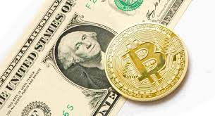 In the early days, a. What Could Your 100 Investment In Bitcoin Fetch You In 2140 Finance And Funding Altcoin Buzz