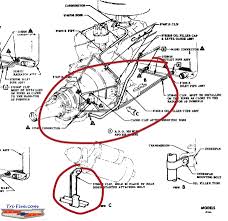 Technical Routing Lines From Th350 To Radiator The H A M B