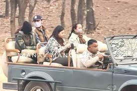 Shamshera is 2021 bollywood action adventure, helmed by karan malhotra. Ranbir Kapoor Alia Bhatt Go For A Wildlife Safari In Ranthambore Here S The Latest Viral Picture India Com