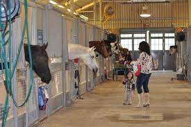 Half Day In Houston Feed 40 Police Horses For Free Jillbjarvis Com Houston Zoo Explore Houston Midtown Houston