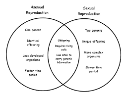Asexual reproduction with uniform offspring. Copy Of Asexual And Sexual Reproduction Interactive Worksheet By Anna Marie Lawrence Wizer Me