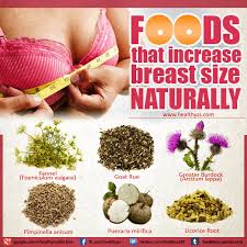 There are certain foods to increase your breast size naturally. Pin On Healthyss