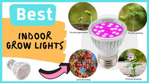 We did not find results for: Top 5 Indoor Grow Lights For Plants Grow Lights At Home Depot Youtube