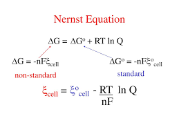 When q/k>1, not spontaneous q/k =1, equilibrium q/k < 1, spontaneous. Ppt Nernst Equation Powerpoint Presentation Free Download Id 6200903