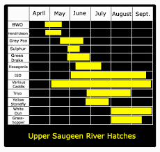 Southern Ontario Hatch Charts Fly Fish Ontario