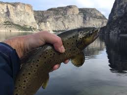 Hotels, apartments, villas, hostels, resorts, b&bs Hetch Hetchy Reservoir Fish Reports Map