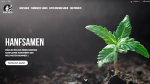 Get your medicinal cannabis seeds from the sensi seedbank today! Sensi Seeds Bank Shop Illegaler Drogenhandel Online Thc Guide