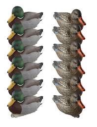 Hunter with dog silhouette ducks flying silhouette bird flying v flock together duck silhouette flying loon bird silouette mallard silhouette duck silhouette vector duck hunting designs bird v. Cupped 12 Pack Finishing Mallards Duck Decoys Dick S Sporting Goods