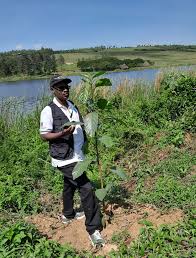 Image result for Schrebera trichoclada