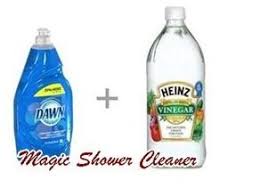 Diy Vinegar And Dawn As A Magic Shower Cleaner Solution Shower Cleaner Best Shower Cleaner Vinegar Shower Cleaner
