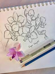 Unger Easy Art Orchid Orchids Painting Orchid Drawing Flower Sketches