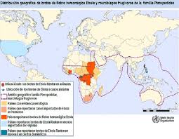 Who provides you with the key facts. Brotes De Enfermedad Por Virus Ebola Eve Mapas Oms 2014 Download Scientific Diagram