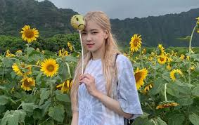 Adit meyudin 6 years ago. Kecantikan Rose Mengalahkan Bunga Matahari