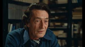 La foule peut-elle s'organiser SANS CHEF ?