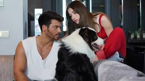 Collection by beverly halliday • last updated 1 day ago. Episode 4 Bay Yanlis Mr Wrong Turkish Drama Tv Series Synopsis Website