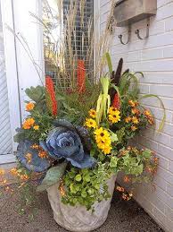 The best flowers for pots in full sun 20 photos. Just Because The Warmer Months Are Gone You Don T Have To Give Up The Idea Of Color In Your Yard Decorate Y Fall Container Gardens Fall Flower Pots Fall Pots