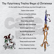  The Veterinary Twelve Days Of Christmas Men S Crewneck Sweatshirt Sweatshirt Veterinary 12 Days Xmas By Vettechdesigns Cafepress Vet Tech Humor Veterinary Humor Veterinary