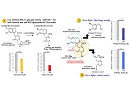 Experts say it's often linked to a willingness to let others share your burden, something that doesn't come easy for many. Relationship Between Oleuropein Metabolism Apoptosis And Her2 Download Scientific Diagram