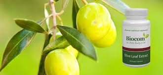 Okonet Webshop Nutrition Nutritional Supplements Food