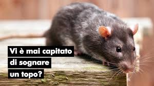 Si tratta semplicemente di un segnale di allerta nei confronti di qualcosa che sta per succedere. Sognare Un Topo In Casa Nel Letto Oppure Un Ratto Che Vi Morde