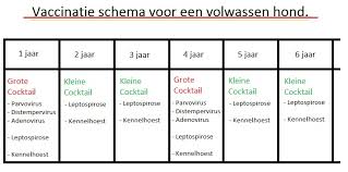 De vaccins die wij gebruiken zijn van de fabrikant intervet en heten nobivac. De Vaccicheck Titerbepaling Caressa Dierenziekenhuizen