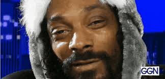 blursed_catmint : r/blursedimages