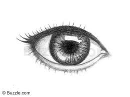 Easy eyes drawing at getdrawings com free for personal use easy. How To Draw Eyes Step By Step Easy How To Wiki 89