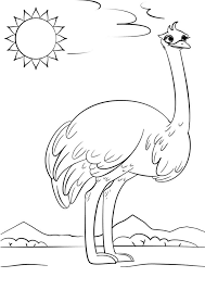 The pdf prints best on standard 8.5 x 11 paper. Cute Ostrich Coloring Page Online Coloring Pages
