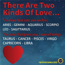 Capricorns fall under the tenth house in the traditions of horoscopic astrology. Zodiac Signs Aries Taurus Gemini Cancer Leo Virgo Libra Scorpio Sagittarius Capricorn Aquarius Pisces Zodiac Memes