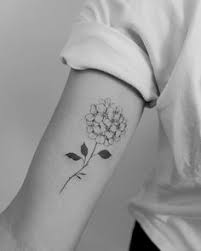 Hydrangea From Today Tattoos Hydrangea Tattoo Forarm Tattoos