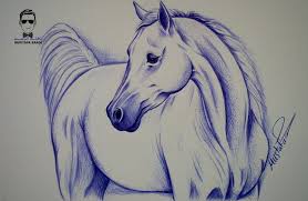 تعلم كيفية رسم حصان بالقلم الجاف الحبر مع الخطوات للمبتدئين animal drawings art drawings drawings